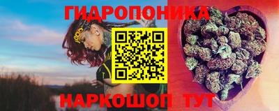 прущие грибы Конаково